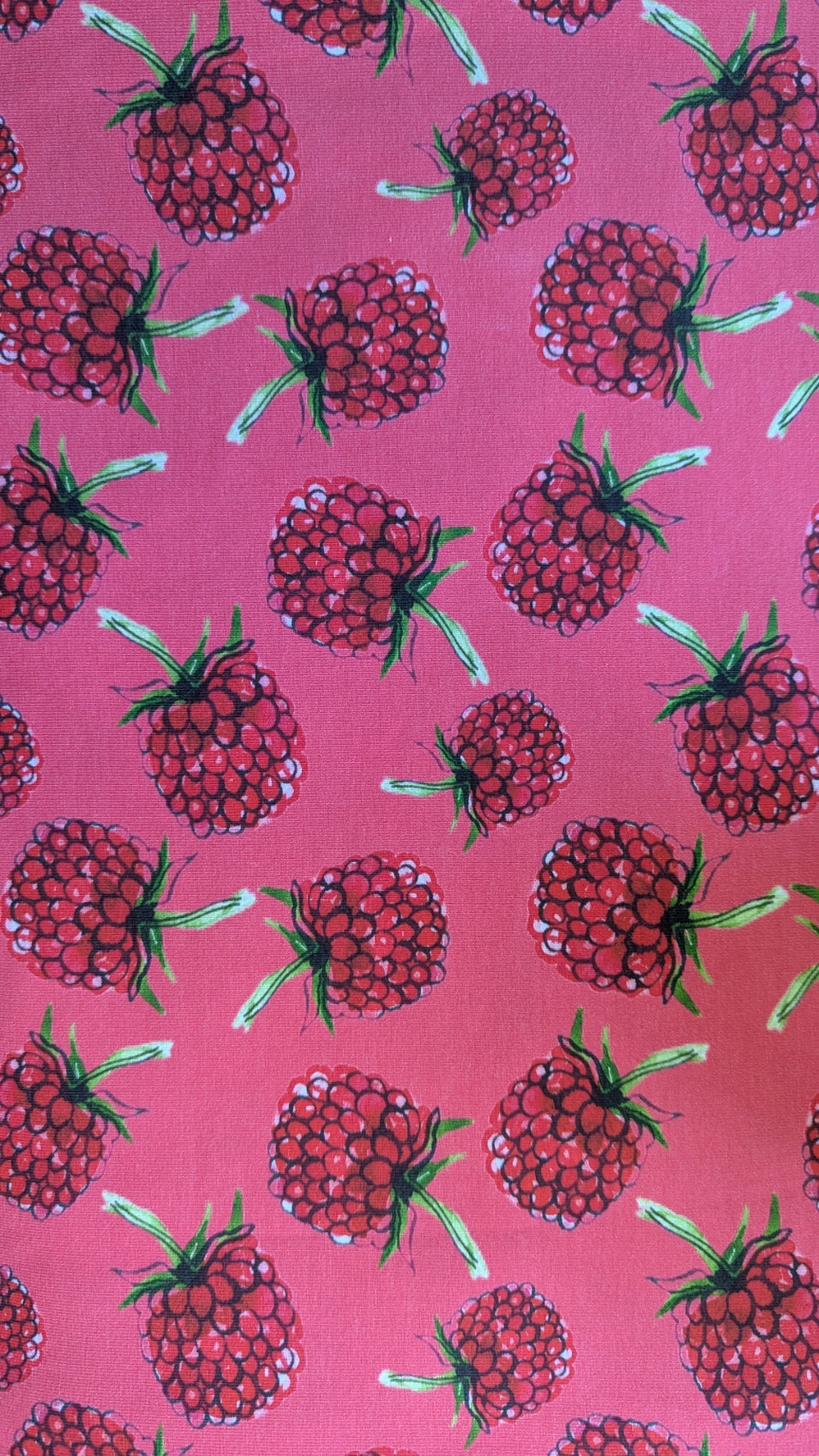 Raspberry Print Leggings